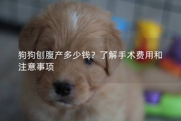 狗狗刨腹产多少钱？了解手术费用和注意事项