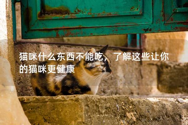 猫咪什么东西不能吃，了解这些让你的猫咪更健康