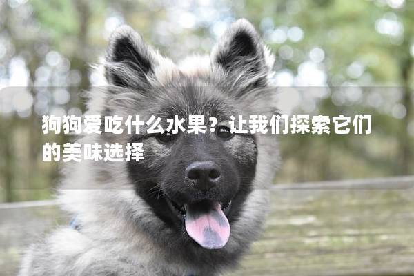 狗狗爱吃什么水果？让我们探索它们的美味选择