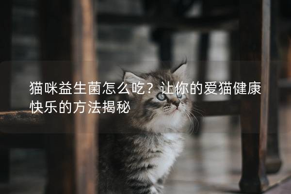 猫咪益生菌怎么吃？让你的爱猫健康快乐的方法揭秘