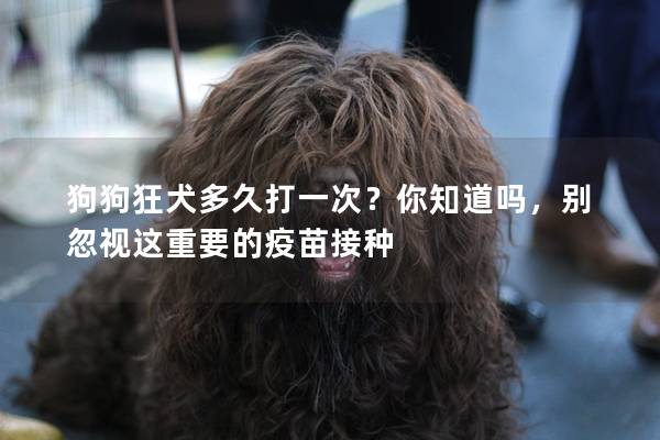 狗狗狂犬多久打一次？你知道吗，别忽视这重要的疫苗接种