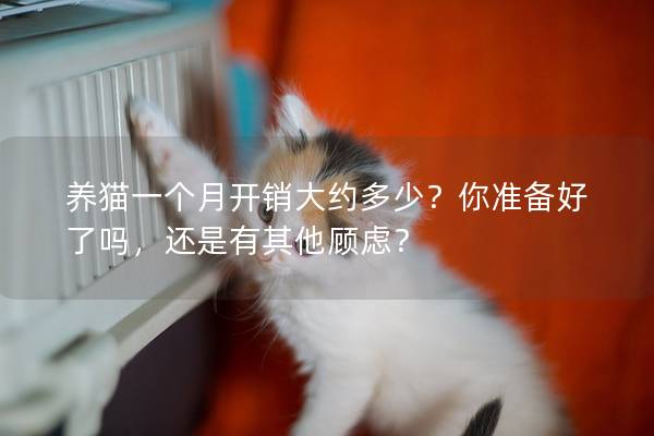 养猫一个月开销大约多少？你准备好了吗，还是有其他顾虑？