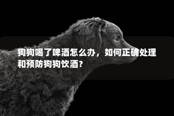 狗狗喝了啤酒怎么办，如何正确处理和预防狗狗饮酒？