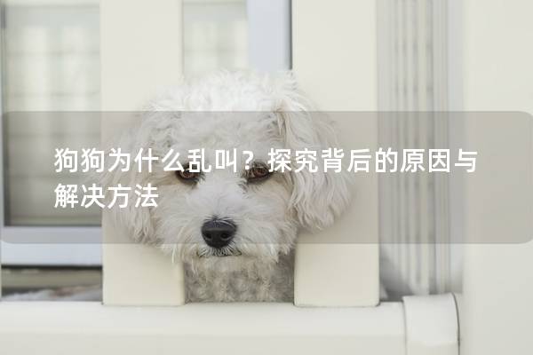 狗狗为什么乱叫？探究背后的原因与解决方法