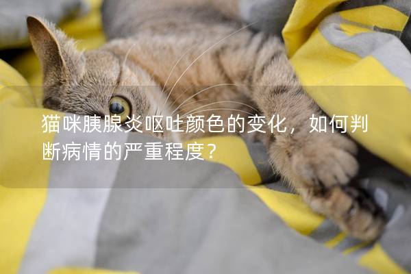 猫咪胰腺炎呕吐颜色的变化，如何判断病情的严重程度？