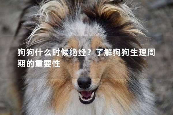 狗狗什么时候绝经？了解狗狗生理周期的重要性