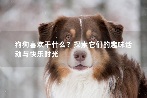 狗狗喜欢干什么？探索它们的趣味活动与快乐时光