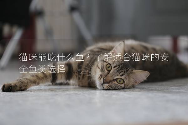 猫咪能吃什么鱼？了解适合猫咪的安全鱼类选择