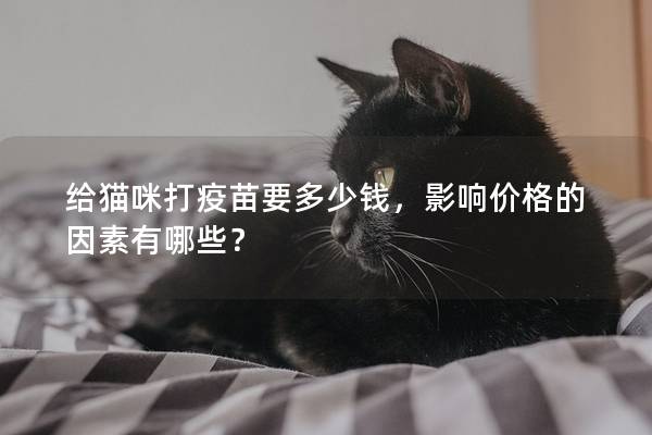 给猫咪打疫苗要多少钱，影响价格的因素有哪些？