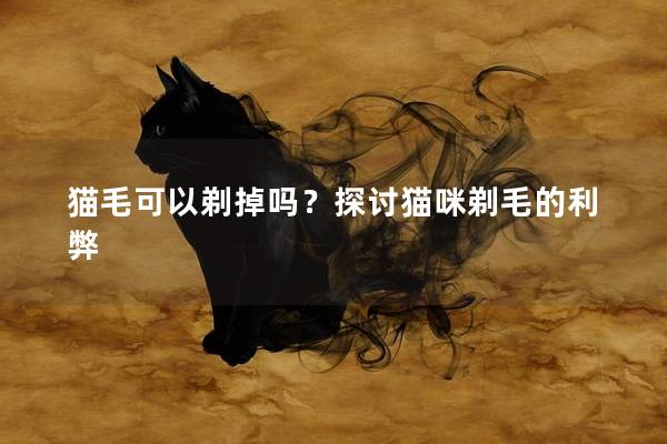 猫毛可以剃掉吗？探讨猫咪剃毛的利弊