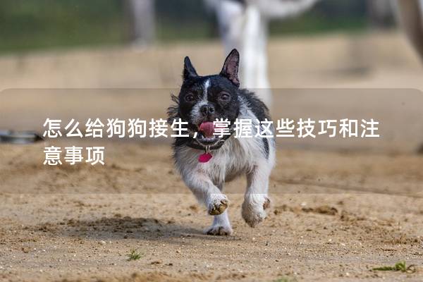 怎么给狗狗接生，掌握这些技巧和注意事项