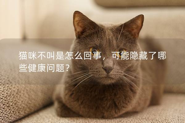 猫咪不叫是怎么回事，可能隐藏了哪些健康问题？