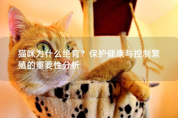 猫咪为什么绝育？保护健康与控制繁殖的重要性分析