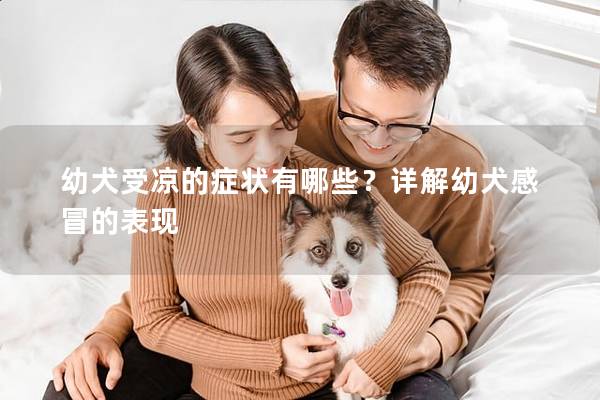 幼犬受凉的症状有哪些？详解幼犬感冒的表现