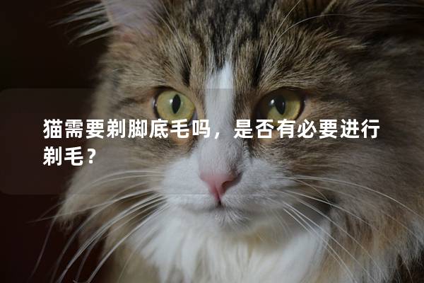 猫需要剃脚底毛吗，是否有必要进行剃毛？