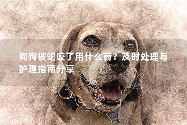 狗狗被蛇咬了用什么药？及时处理与护理指南分享