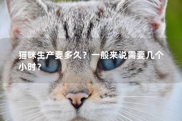 猫咪生产要多久？一般来说需要几个小时？