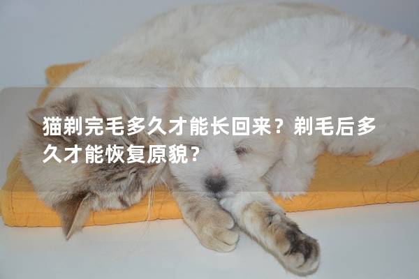 猫剃完毛多久才能长回来？剃毛后多久才能恢复原貌？