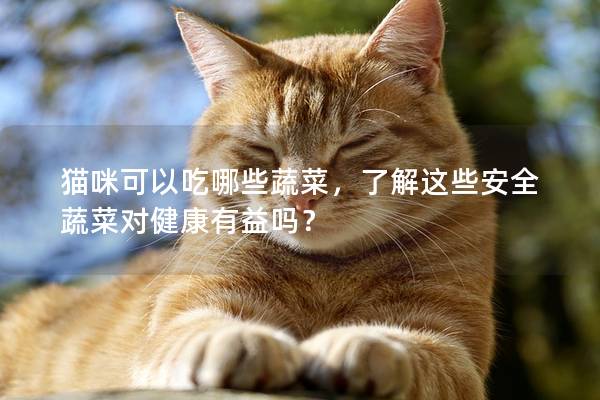 猫咪可以吃哪些蔬菜，了解这些安全蔬菜对健康有益吗？