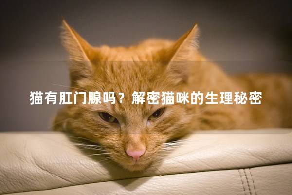 猫有肛门腺吗？解密猫咪的生理秘密