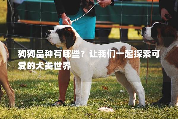 狗狗品种有哪些？让我们一起探索可爱的犬类世界