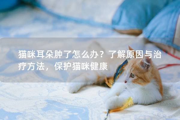 猫咪耳朵肿了怎么办？了解原因与治疗方法，保护猫咪健康