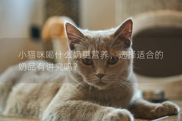 小猫咪喝什么奶更营养，选择适合的奶品有讲究吗？