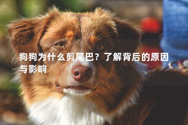 狗狗为什么剪尾巴？了解背后的原因与影响