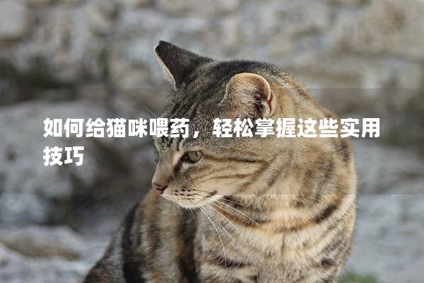 如何给猫咪喂药，轻松掌握这些实用技巧