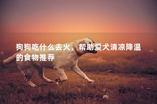 狗狗吃什么去火，帮助爱犬清凉降温的食物推荐