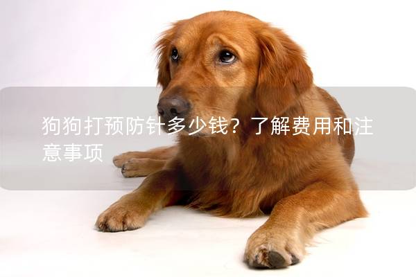 狗狗打预防针多少钱？了解费用和注意事项