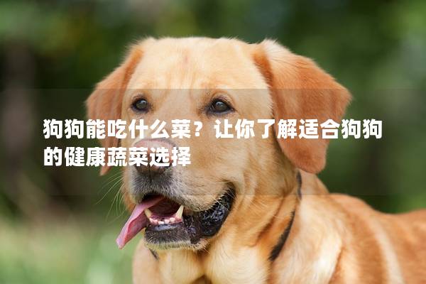 狗狗能吃什么菜？让你了解适合狗狗的健康蔬菜选择