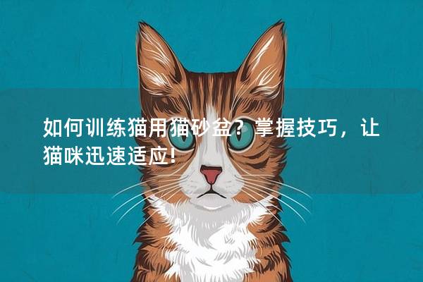 如何训练猫用猫砂盆？掌握技巧，让猫咪迅速适应!