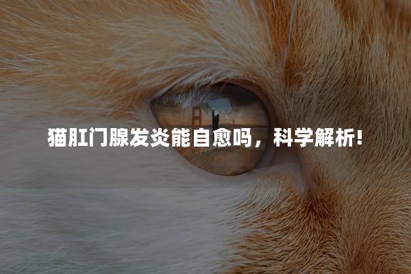 猫肛门腺发炎能自愈吗，科学解析!