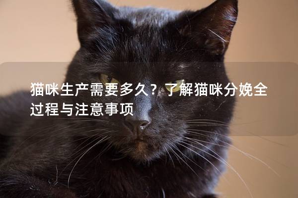 猫咪生产需要多久？了解猫咪分娩全过程与注意事项