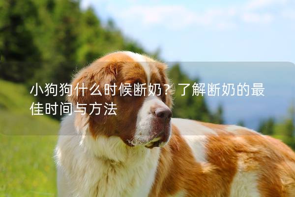 小狗狗什么时候断奶？了解断奶的最佳时间与方法