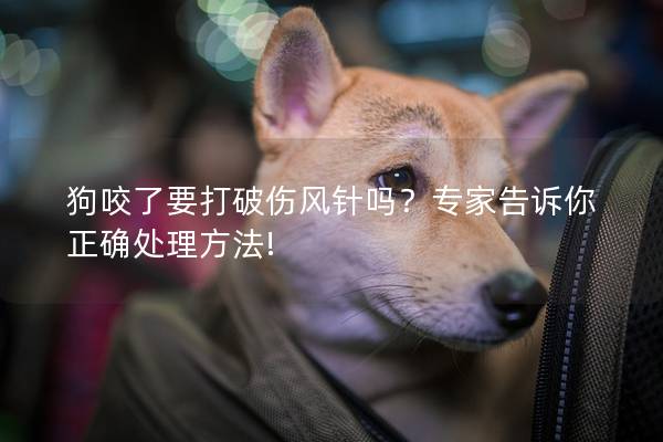 狗咬了要打破伤风针吗？专家告诉你正确处理方法!