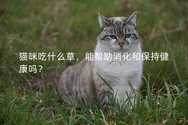 猫咪吃什么草，能帮助消化和保持健康吗？