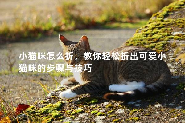 小猫咪怎么折，教你轻松折出可爱小猫咪的步骤与技巧