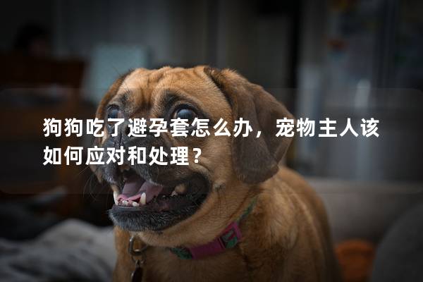 狗狗吃了避孕套怎么办，宠物主人该如何应对和处理？