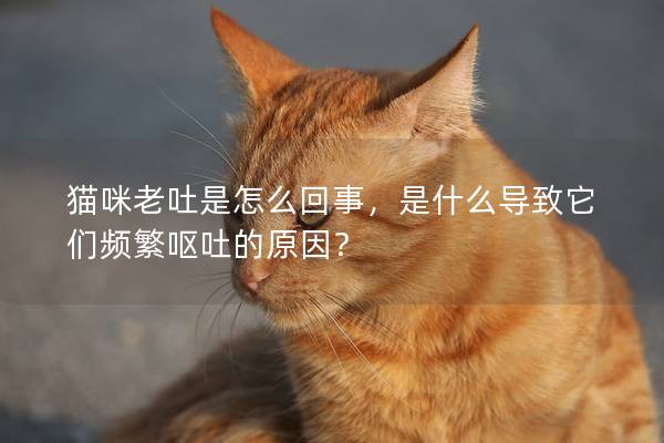 猫咪老吐是怎么回事，是什么导致它们频繁呕吐的原因？