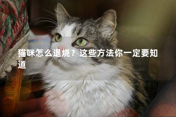 猫咪怎么退烧？这些方法你一定要知道