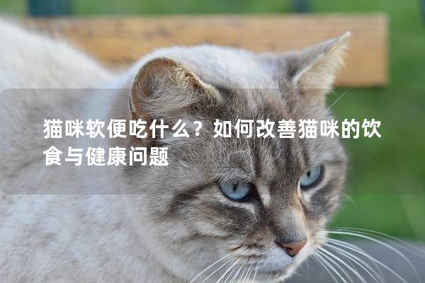 猫咪软便吃什么？如何改善猫咪的饮食与健康问题