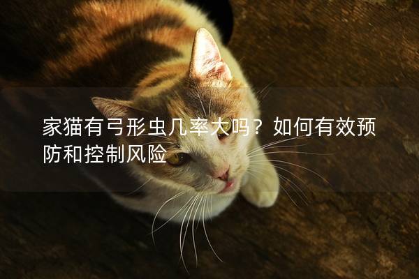 家猫有弓形虫几率大吗？如何有效预防和控制风险