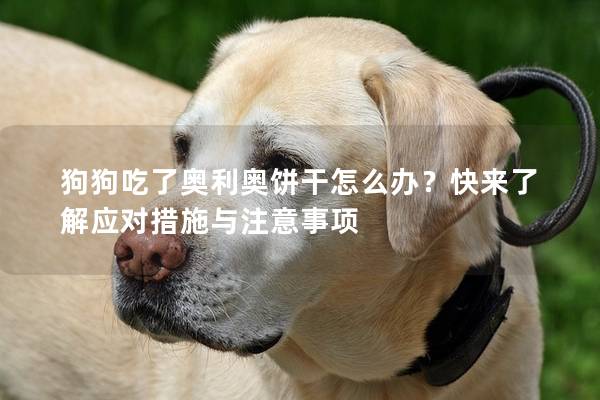 狗狗吃了奥利奥饼干怎么办？快来了解应对措施与注意事项