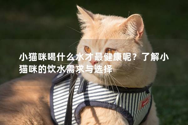 小猫咪喝什么水才最健康呢？了解小猫咪的饮水需求与选择