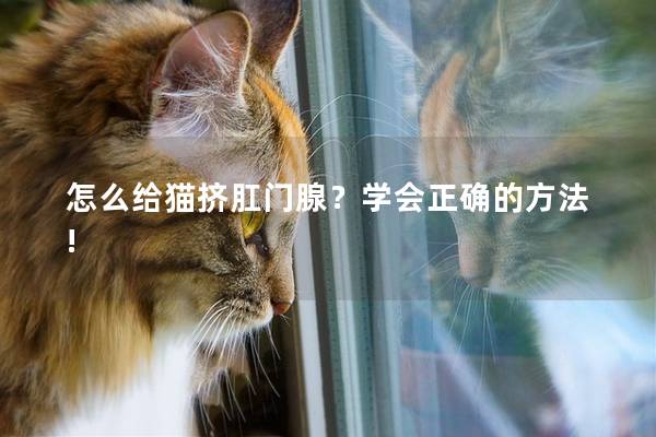 怎么给猫挤肛门腺？学会正确的方法!