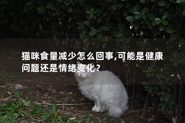 猫咪食量减少怎么回事,可能是健康问题还是情绪变化？