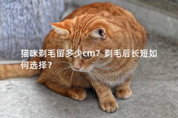 猫咪剃毛留多少cm？剃毛后长短如何选择？