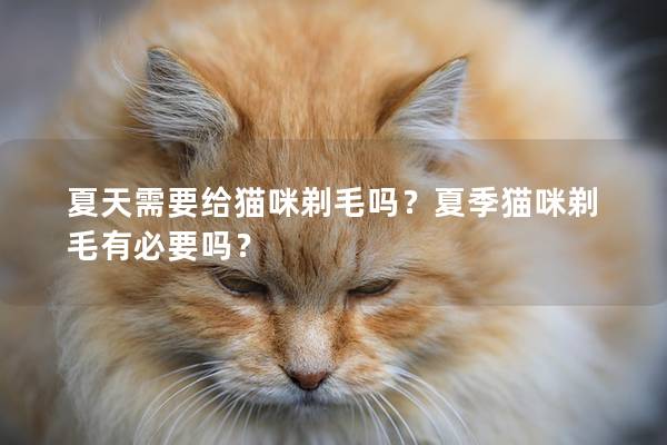 夏天需要给猫咪剃毛吗？夏季猫咪剃毛有必要吗？